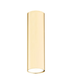 Tyber Plus Tall Surface Mounted Downlight Brass Steel-1