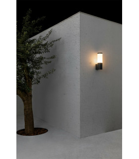 Orwel Outdoor LED Wall Light Camera Dimmable Dark Grey 9W 3000-6000K IP54-2