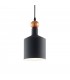 1 Light Dome Ceiling Pendant Light Black - 1