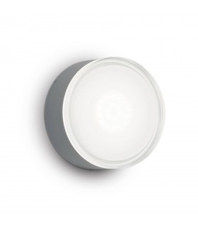 1 Light Flush Ceiling Light Anthracite - 1