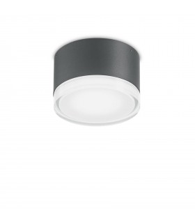 1 Light Flush Ceiling Light Anthracite - 1