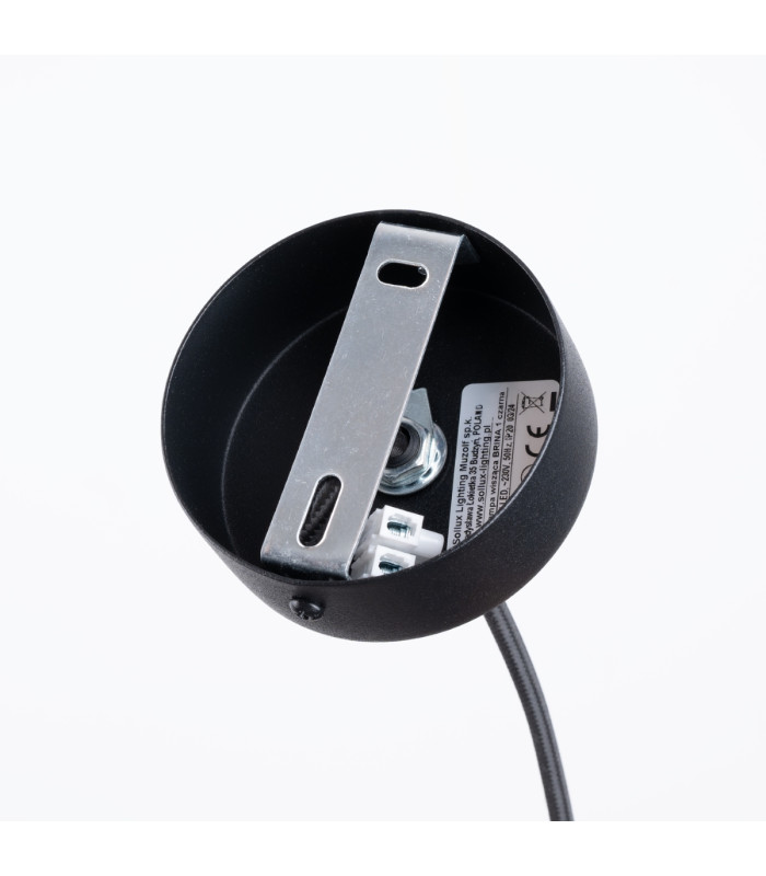 Brina Single Globe Pendant Ceiling Light Black-4