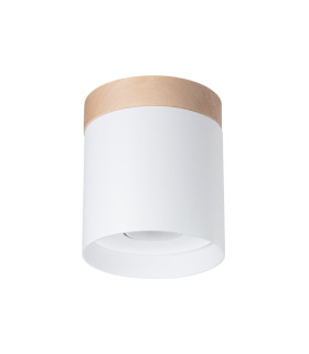 RIF Surface Mounted Downlight White-1