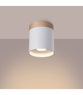 RIF Surface Mounted Downlight White-2