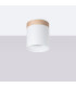 RIF Surface Mounted Downlight White-3