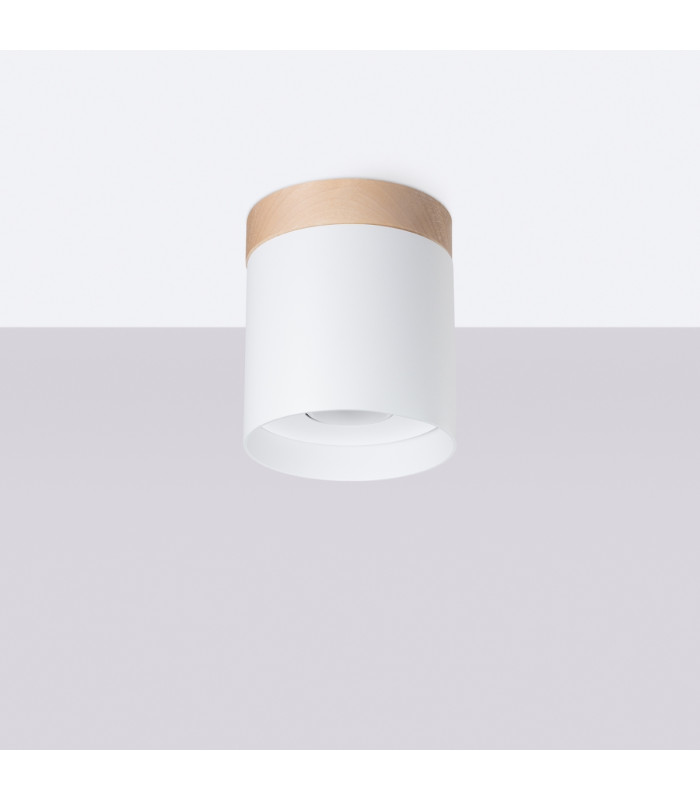 RIF Surface Mounted Downlight White-3