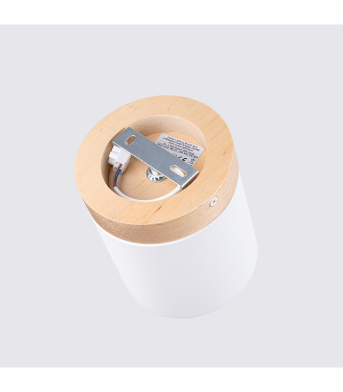RIF Surface Mounted Downlight White-4