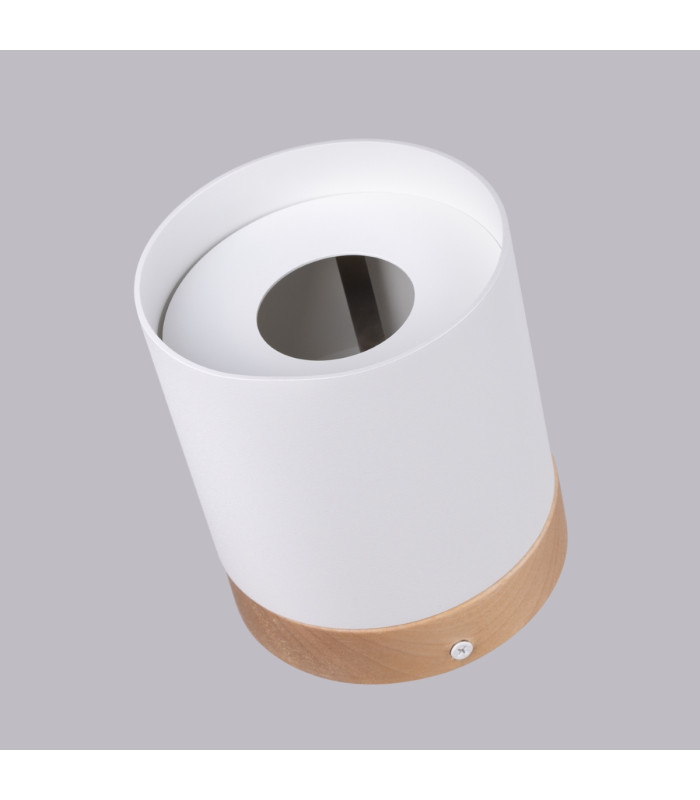 RIF Surface Mounted Downlight White-6