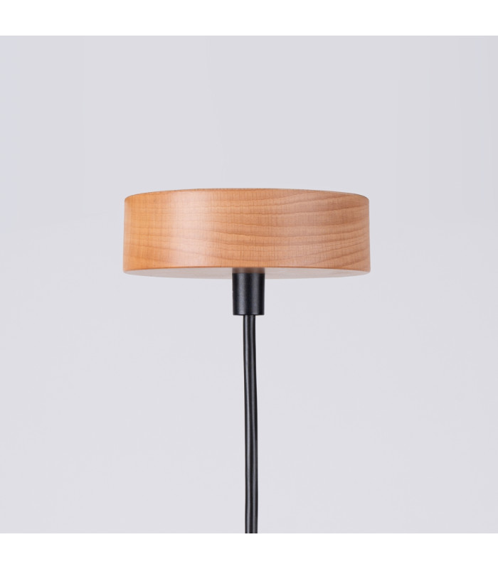 Marion Dome Pendant Ceiling Light Black-7