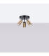 Winx 3 Light Ceiling Spotlight Clusters Black Gold-3