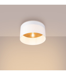 Telesto Cylindrical Ceiling Light White Light Brown-2