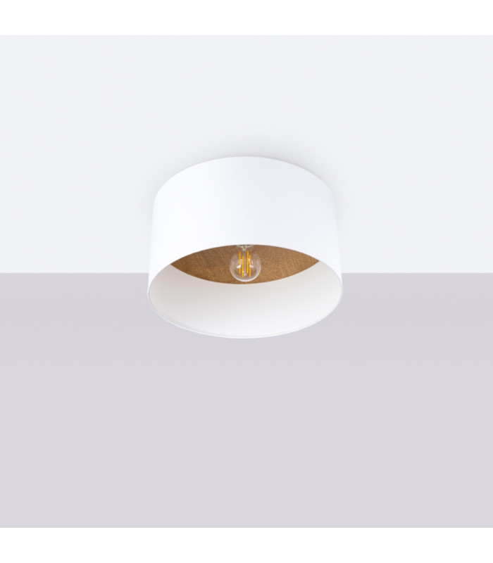 Telesto Cylindrical Ceiling Light White Light Brown-3