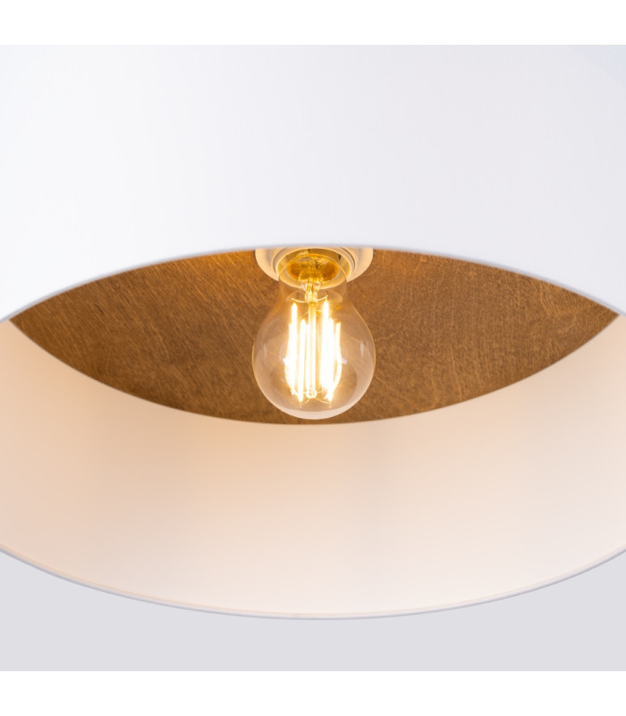 Telesto Cylindrical Ceiling Light White Light Brown-7