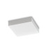 Snow LED Flush Ceiling Light White 3000K IP65-1
