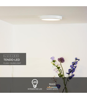 Tendo-Led Modern Flush Ceiling Light-2