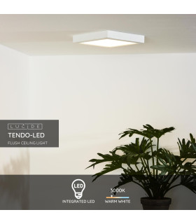 Tendo-Led Modern Flush Ceiling Light-2