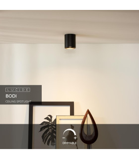 Bodi Modern Surface Mounted Ceiling Spotlight-2