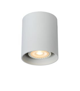 Bodi Modern Surface Mounted Ceiling Spotlight-1