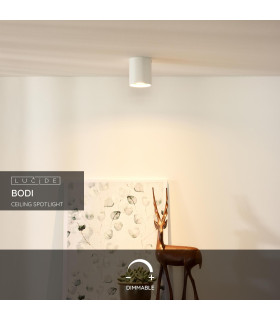 Bodi Modern Surface Mounted Ceiling Spotlight-2