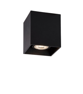 Bodi Modern Surface Mounted Ceiling Spotlight-1