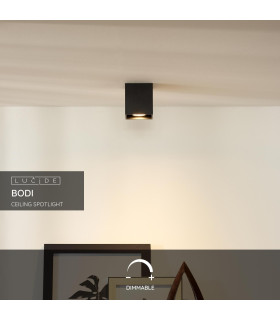 Bodi Modern Surface Mounted Ceiling Spotlight-2