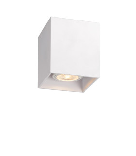 Bodi Modern Surface Mounted Ceiling Spotlight-1