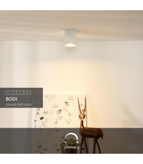 Bodi Modern Surface Mounted Ceiling Spotlight-2