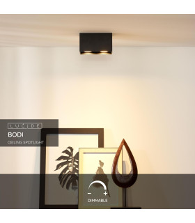 Bodi Modern Surface Mounted Ceiling Spotlight-2