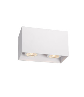Bodi Modern Surface Mounted Ceiling Spotlight-1