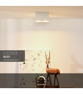 Bodi Modern Surface Mounted Ceiling Spotlight-2