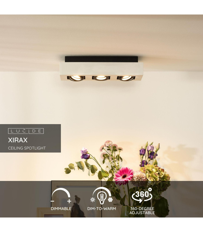 Xirax Modern Ceiling Spotlight-2