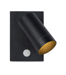 Taylor Modern Wall Spotlight Outdoor