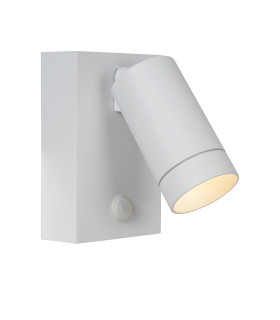 Taylor Modern Wall Spotlight Outdoor