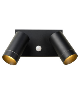 Taylor Modern Wall Spotlight Outdoor