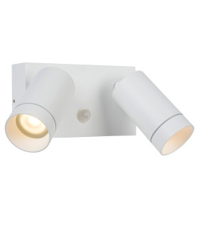 Taylor Modern Wall Spotlight Outdoor