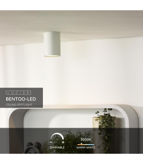 Bentoo-Led Modern Surface Mounted Ceiling Spotlight-2
