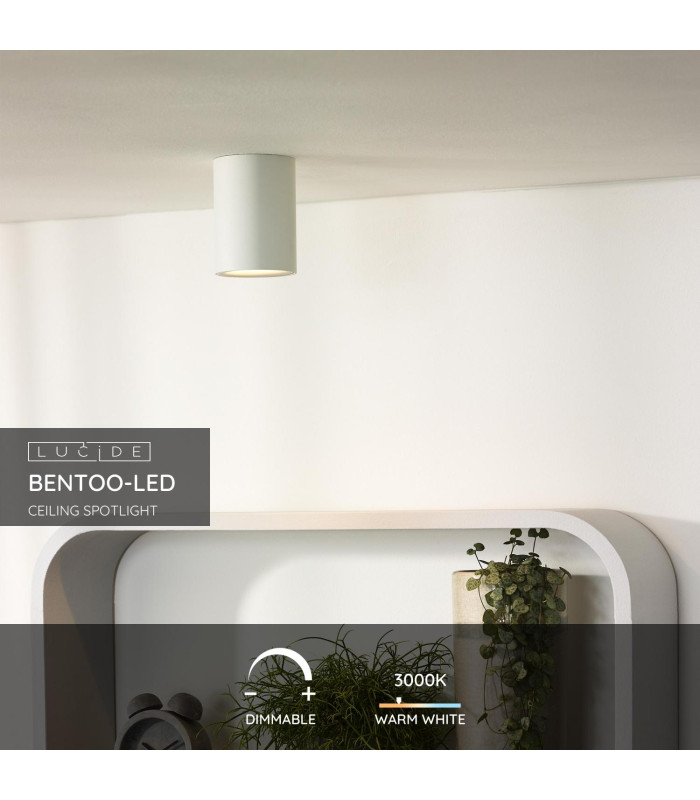 Bentoo-Led Modern Surface Mounted Ceiling Spotlight-2