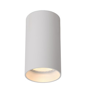 Delto Modern Surface Mounted Ceiling Spotlight-1