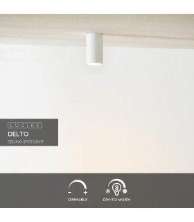 Delto Modern Surface Mounted Ceiling Spotlight-2