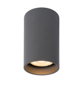 Delto Modern Surface Mounted Ceiling Spotlight-1