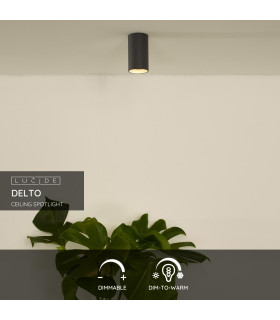 Delto Modern Surface Mounted Ceiling Spotlight-2