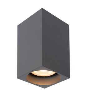 Delto Modern Surface Mounted Ceiling Spotlight-1