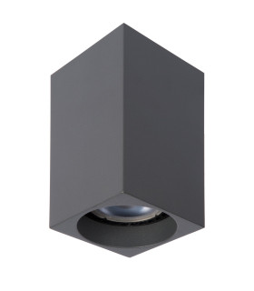 Delto Modern Surface Mounted Ceiling Spotlight-2