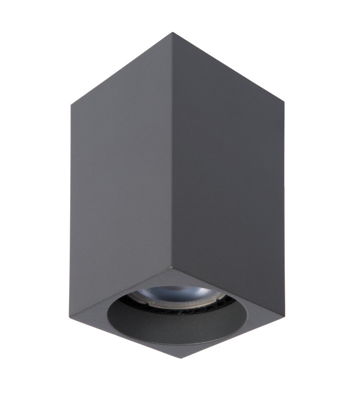 Delto Modern Surface Mounted Ceiling Spotlight-2