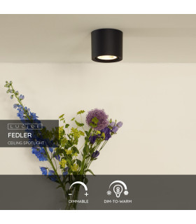 Fedler Modern Surface Mounted Ceiling Spotlight-2