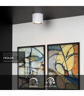 Fedler Modern Surface Mounted Ceiling Spotlight-2