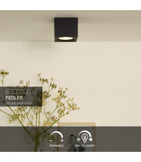 Fedler Modern Surface Mounted Ceiling Spotlight-2