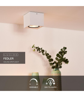 Fedler Modern Surface Mounted Ceiling Spotlight-2