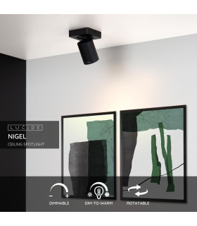 Nigel Modern Ceiling Spotlight-2