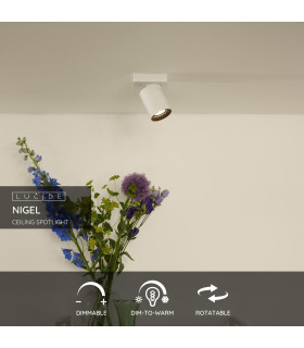 Nigel Modern Ceiling Spotlight-2